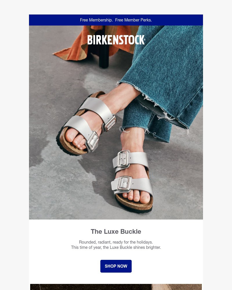 Screenshot of email with subject /media/emails/the-luxe-buckle-shines-brighter-for-the-holidays-c0f5b8-cropped-47ee94df.jpg