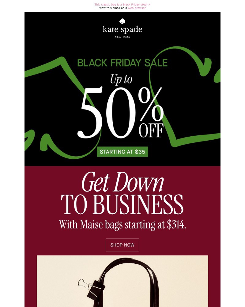 Screenshot of email with subject /media/emails/the-maise-bag-is-how-much-0a5619-cropped-2e6bee2a.jpg