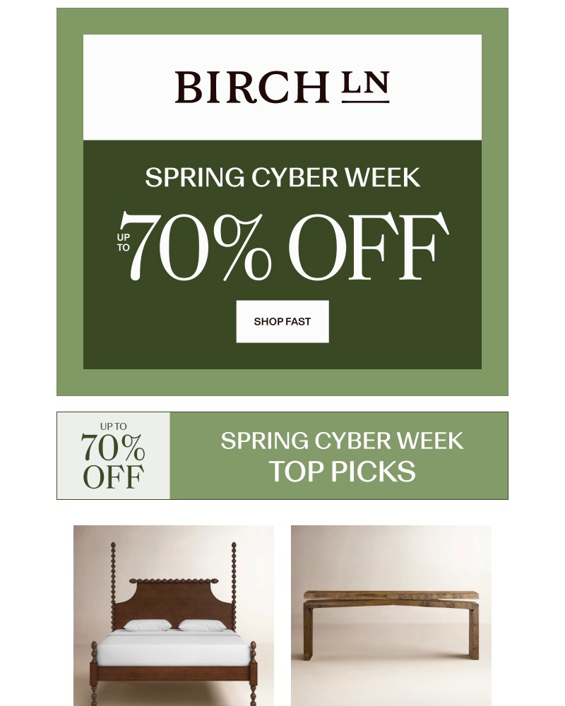 Screenshot of email sent to a Birch Lane Newsletter subscriber