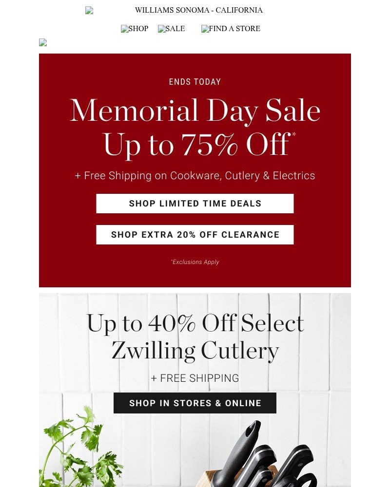 Screenshot of email with subject /media/emails/the-memorial-day-sale-ends-tonight-hurry-dont-miss-it-2e607d-cropped-865346dc.jpg