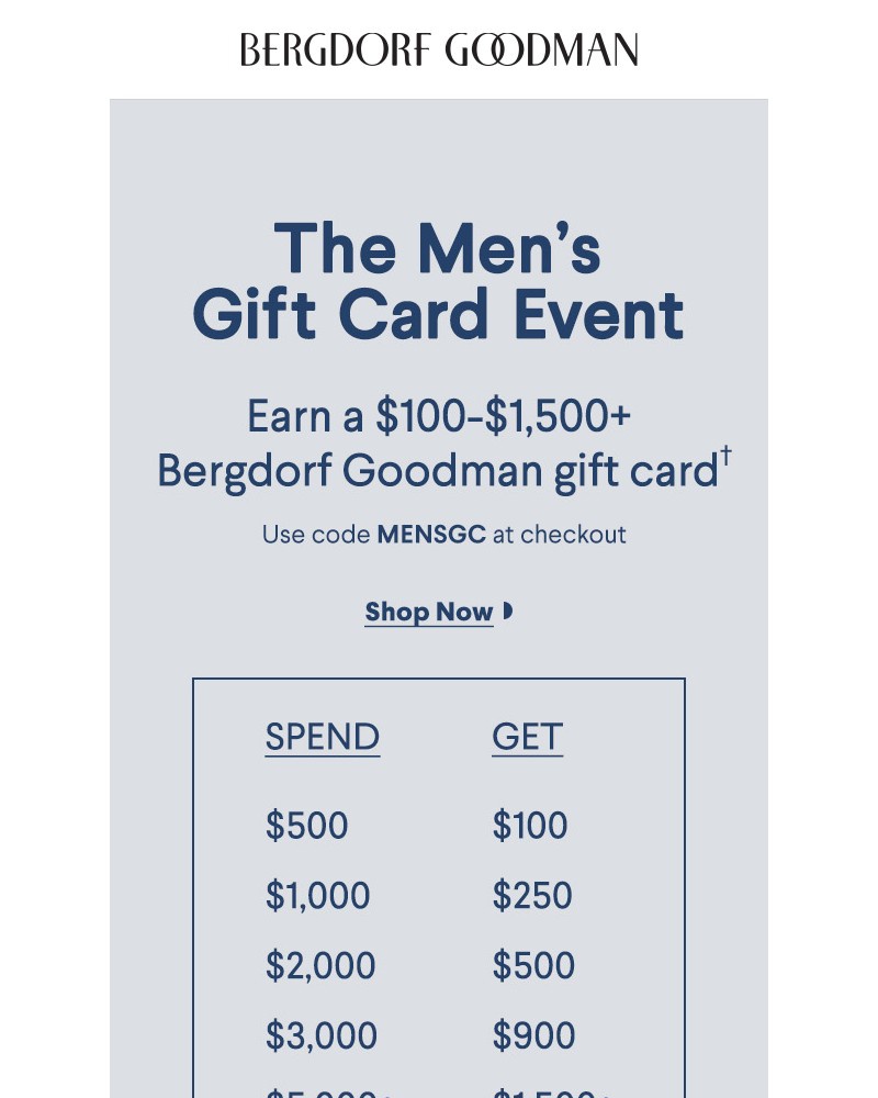Screenshot of email sent to a Bergdorf Goodman Newsletter subscriber
