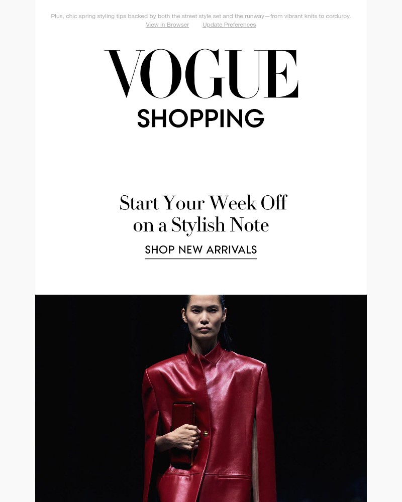Screenshot of email with subject /media/emails/the-monday-style-memo-colorful-tailoring-pony-hair-flats-and-sleek-skirts-96a40c-_nzrYtJY.jpg