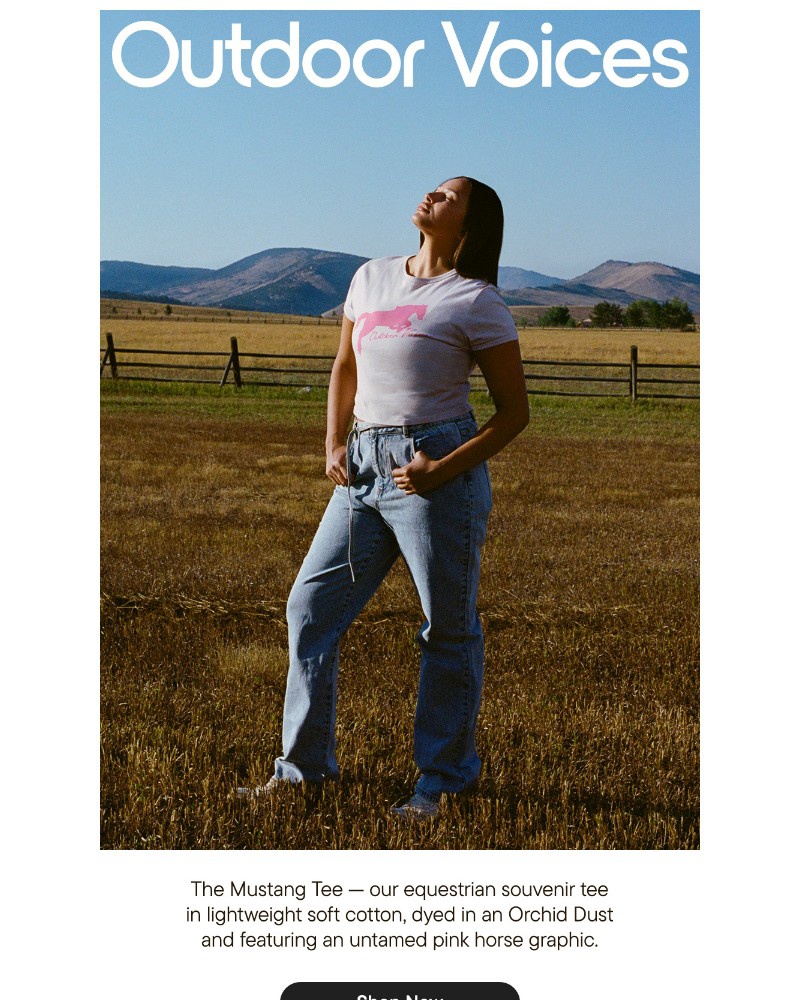 Screenshot of email with subject /media/emails/the-mustang-tee-is-here-90e2d2-cropped-00bedc6b.jpg