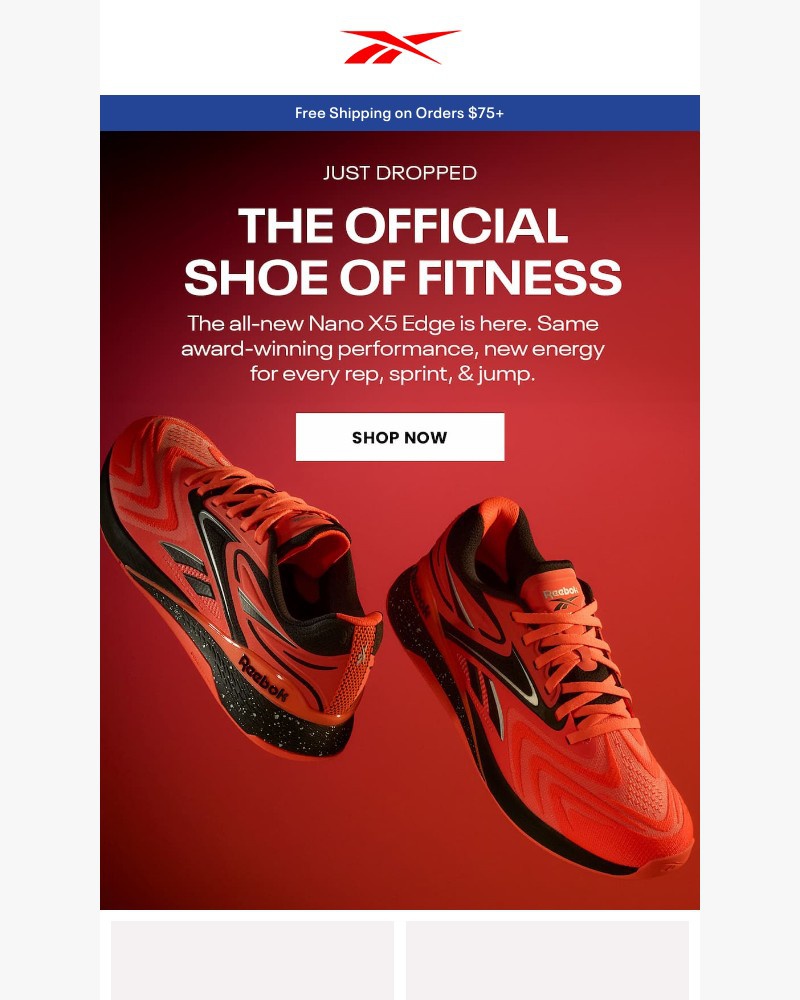 Screenshot of email sent to a Reebok Newsletter subscriber