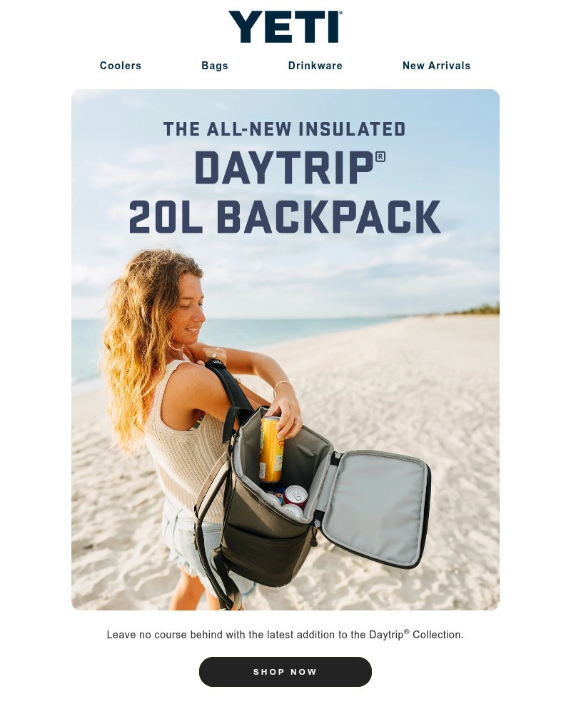Screenshot of email with subject /media/emails/the-new-daytrip-20l-backpack-is-here-4ab938-cropped-8f7d3caf.jpg
