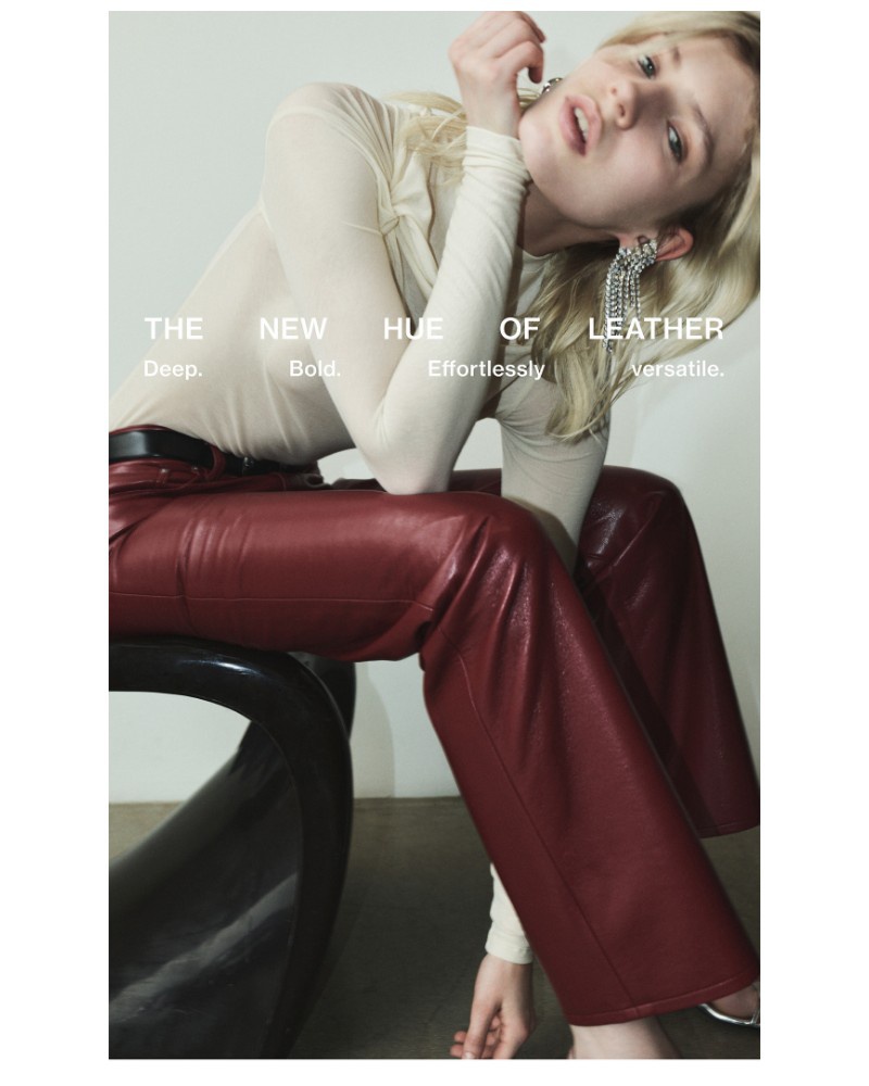 Screenshot of email with subject /media/emails/the-new-hue-of-leather-b649a5-cropped-559fd3f3.jpg