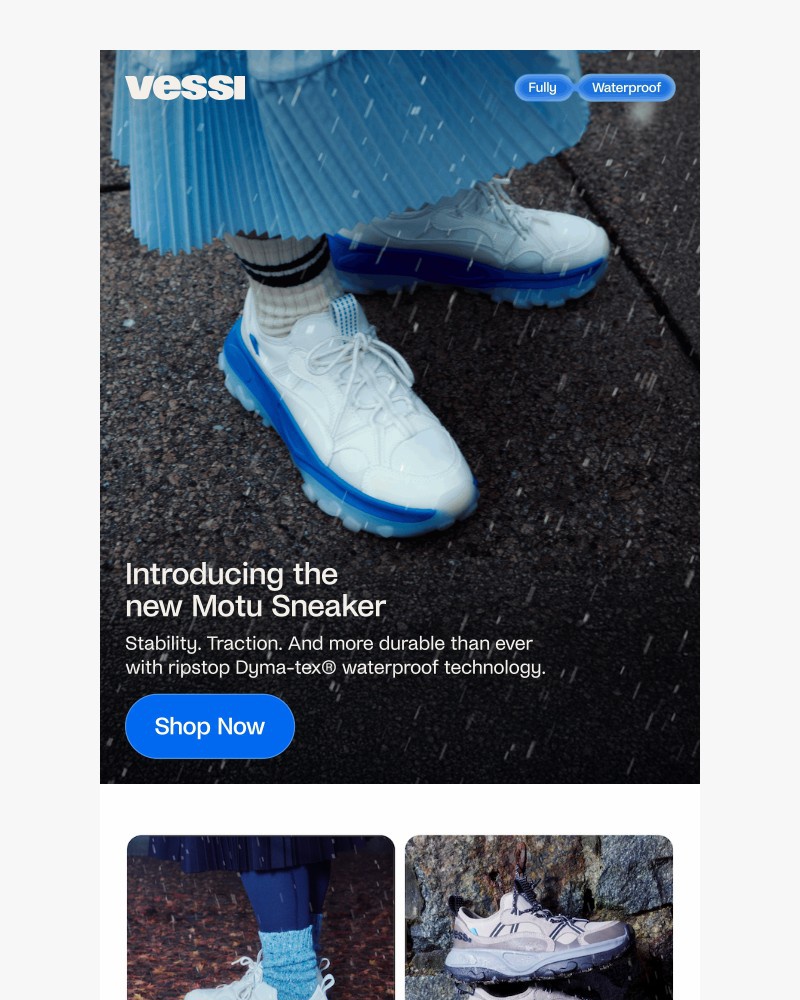 Screenshot of email sent to a Vessi Seller