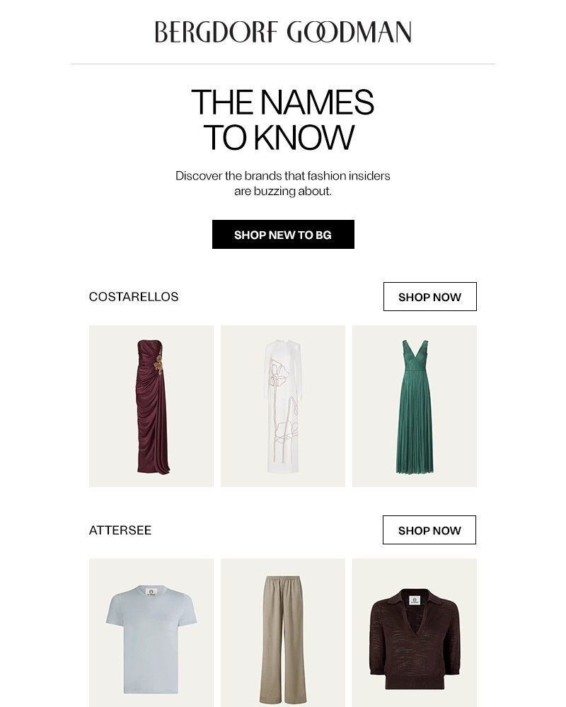 Screenshot of email with subject /media/emails/the-new-names-to-know-40df3d-cropped-d8036c65.jpg