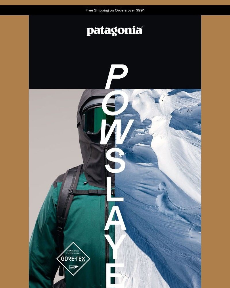 Screenshot of email sent to a Patagonia Newsletter subscriber