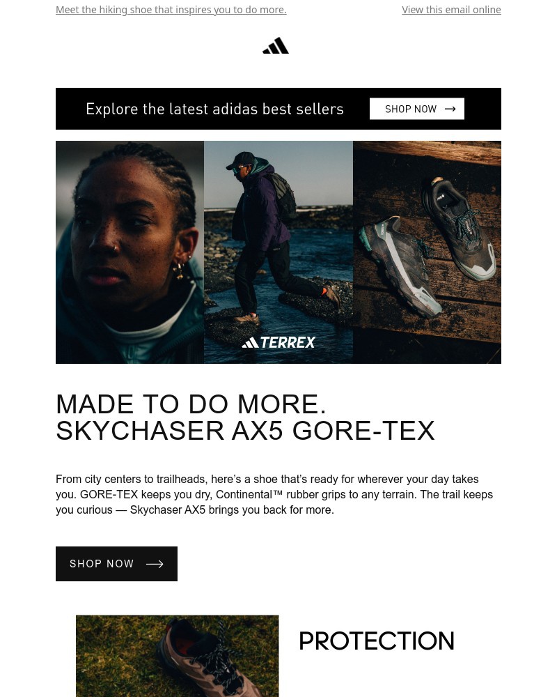 Screenshot of email with subject /media/emails/the-new-terrex-skychaser-ax5-gore-tex-is-here-63c275-cropped-5b082f70.jpg