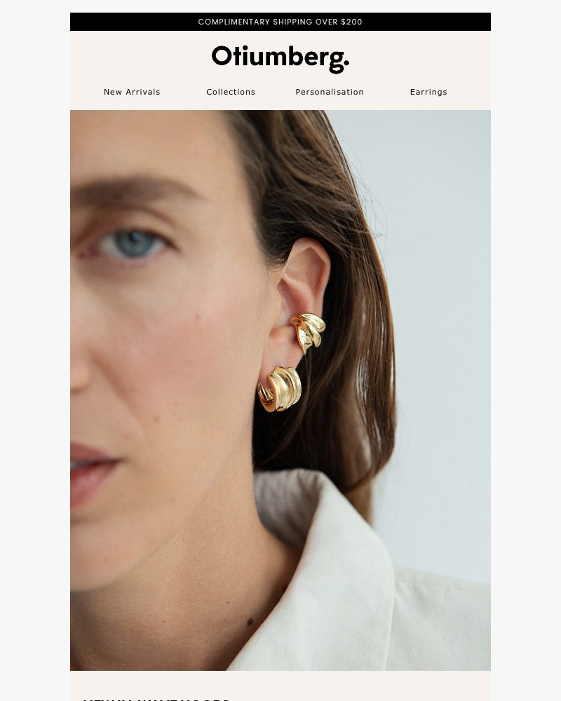 Screenshot of email with subject /media/emails/the-new-wave-hoops-5af8f8-cropped-42d9106b.jpg