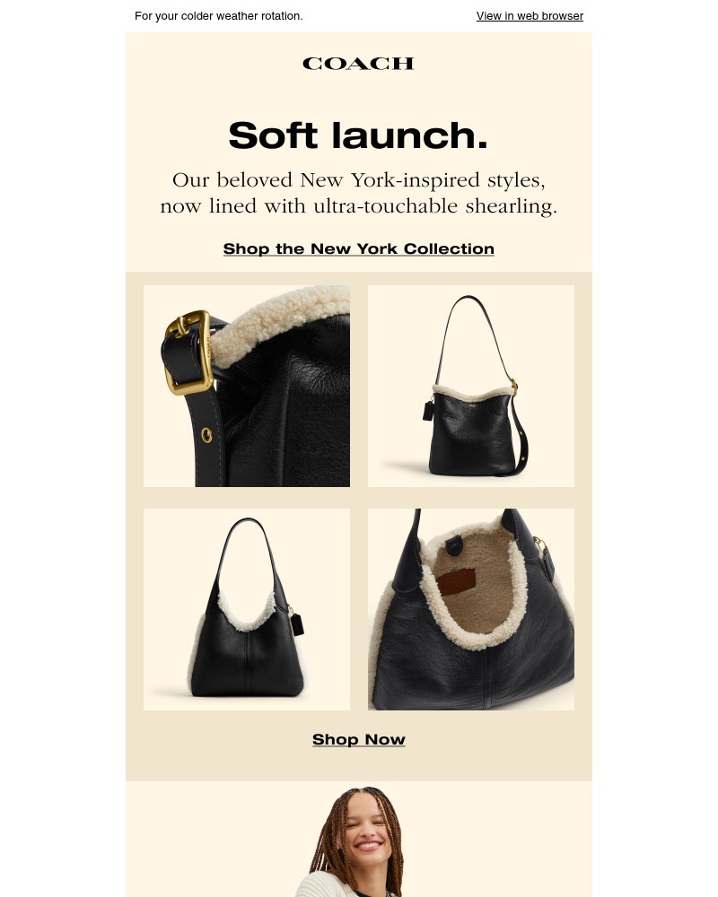 Screenshot of email with subject /media/emails/the-new-york-collection-shearling-edition-1f0972-cropped-c6666b1e.jpg