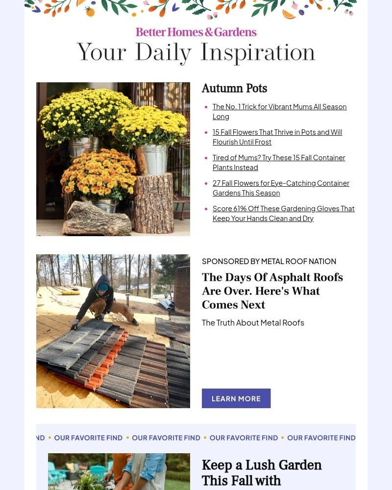 Screenshot of email with subject /media/emails/the-no-1-trick-for-vibrant-mums-all-season-long-887811-cropped-081fbe8d.jpg