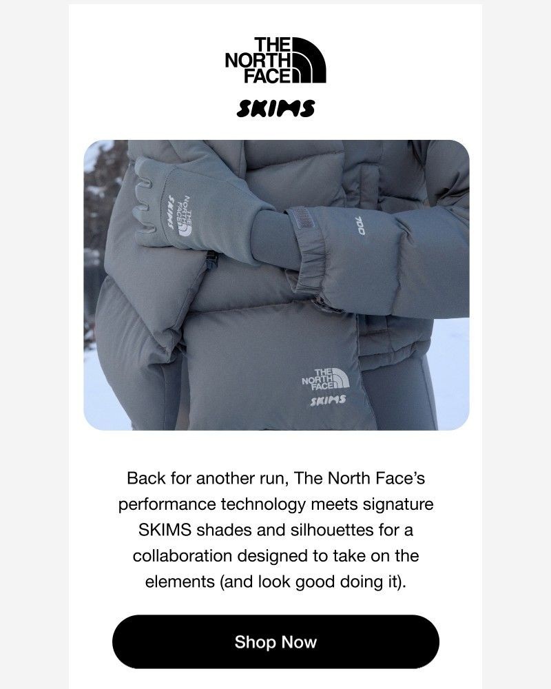 Screenshot of email with subject /media/emails/the-north-face-x-skims-is-back-669814-cropped-63700bd3.jpg