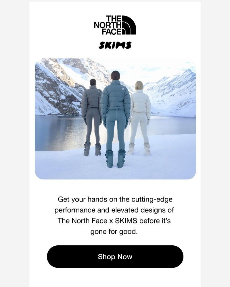 Screenshot of email with subject /media/emails/the-north-face-x-skims-is-going-fast-d9e83d-cropped-21a12c29.jpg
