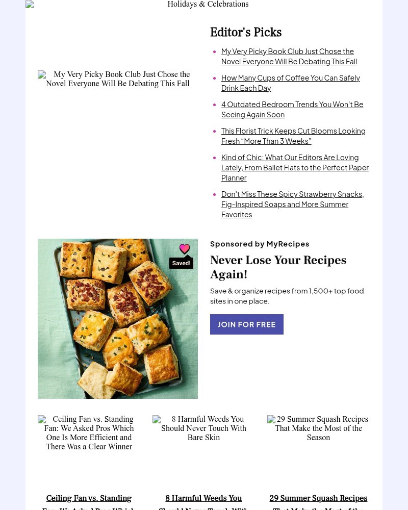 Screenshot of email with subject /media/emails/the-novel-everyone-will-be-debating-this-fall-187b7d-cropped-06f564fa.jpg