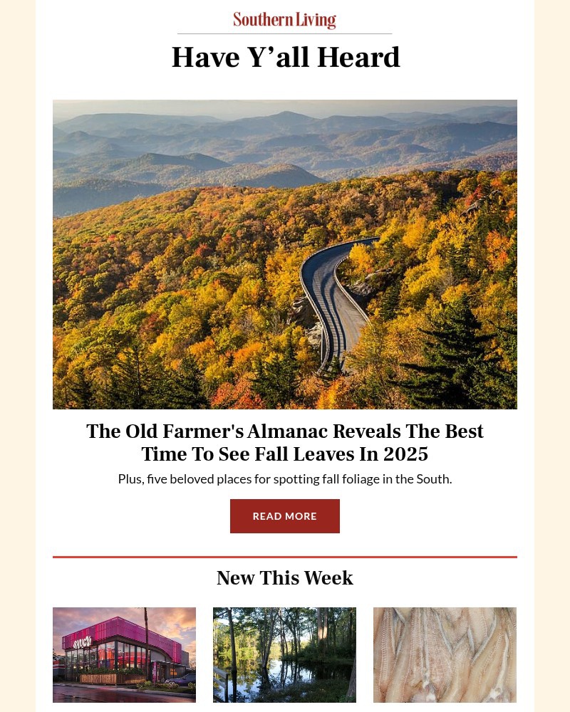 Screenshot of email with subject /media/emails/the-old-farmers-almanac-reveals-the-best-time-to-see-fall-leaves-in-2025-134aa0-c_3KiV1mQ.jpg