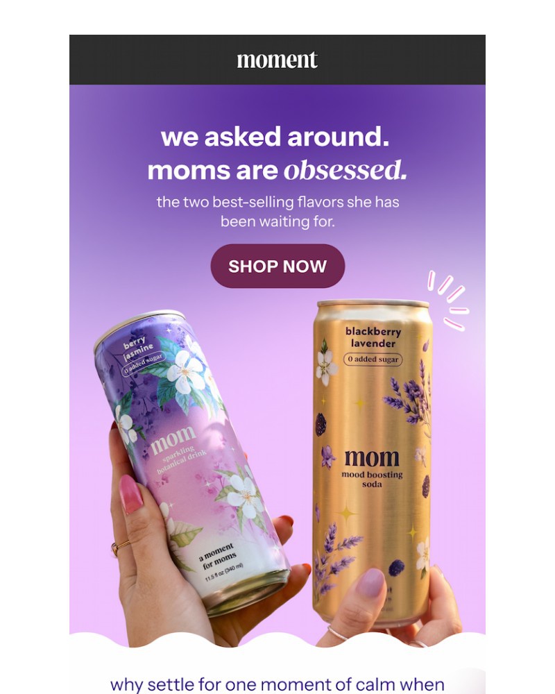 Screenshot of email sent to a Moment Newsletter subscriber