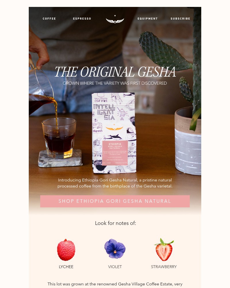 Screenshot of email with subject /media/emails/the-original-gesha-409ae2-cropped-2fa61a7b.jpg
