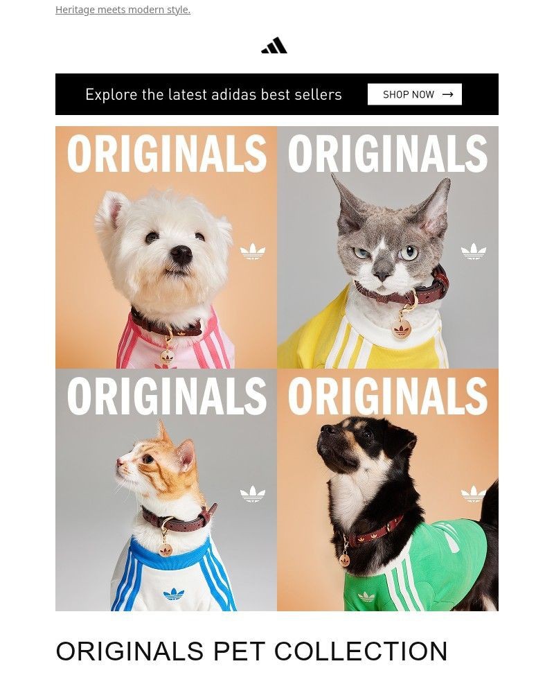 Screenshot of email with subject /media/emails/the-originals-pet-collection-is-here-b34d8d-cropped-c7beccb5.jpg