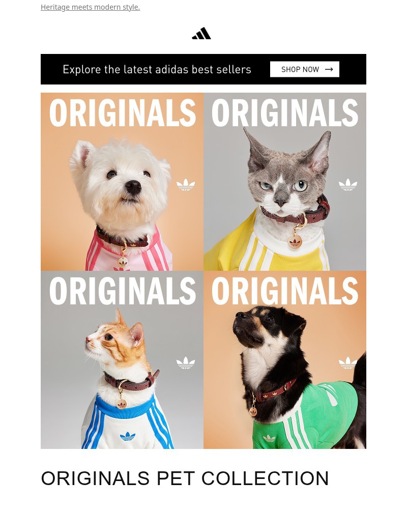 Screenshot of email with subject /media/emails/the-originals-pet-collection-just-dropped-65b7be-cropped-3f444bb9.jpg