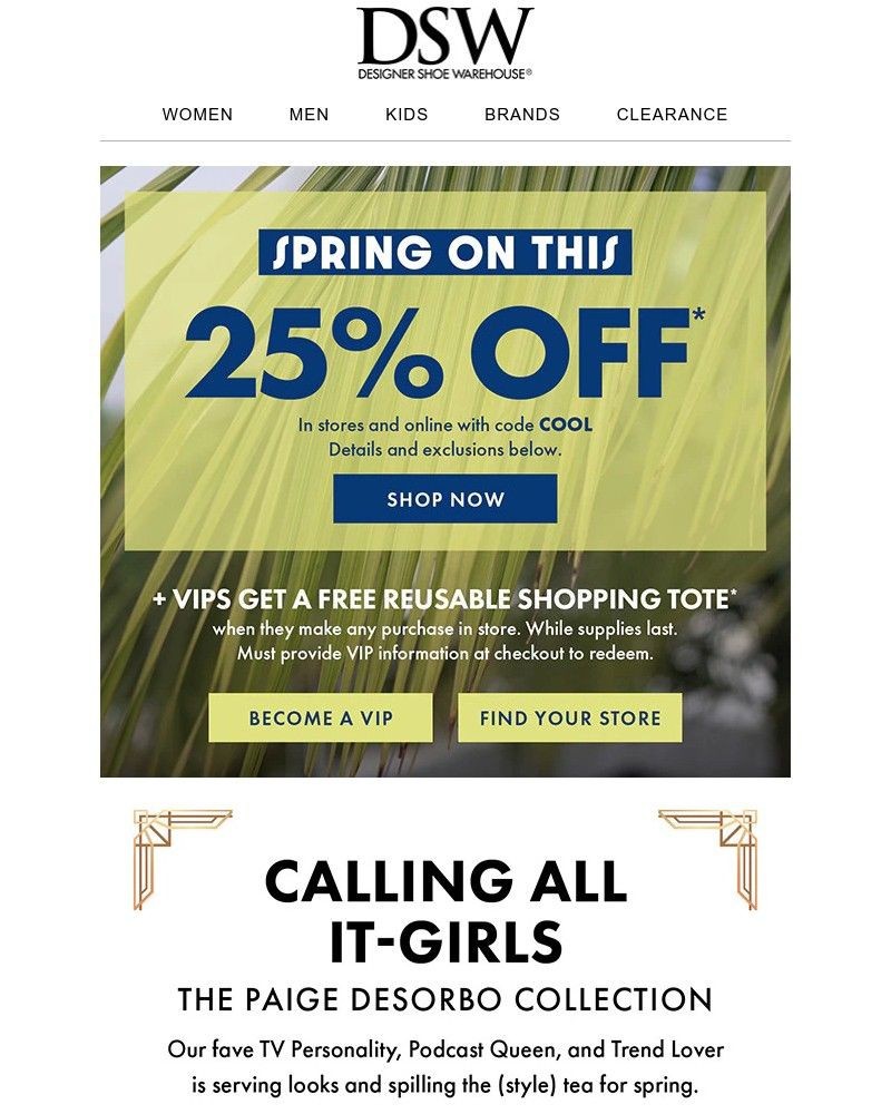 Screenshot of email with subject /media/emails/the-paige-desorbo-collection-3cce63-cropped-99b0379d.jpg