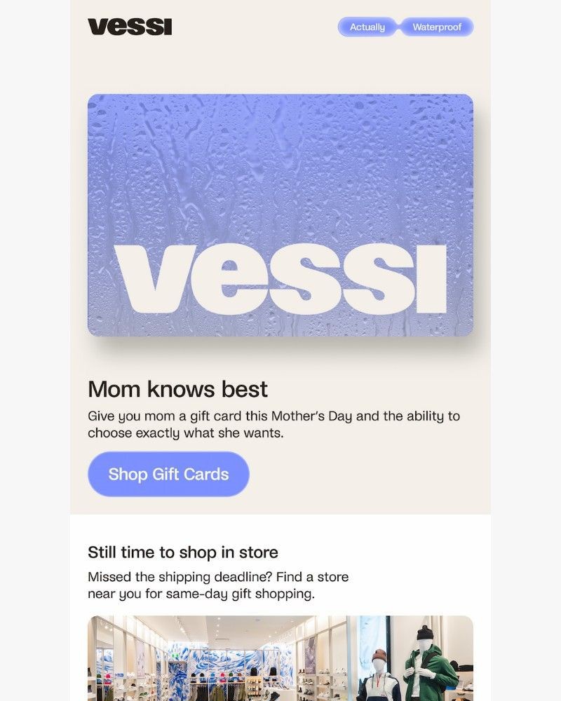 Screenshot of email sent to a Vessi Seller