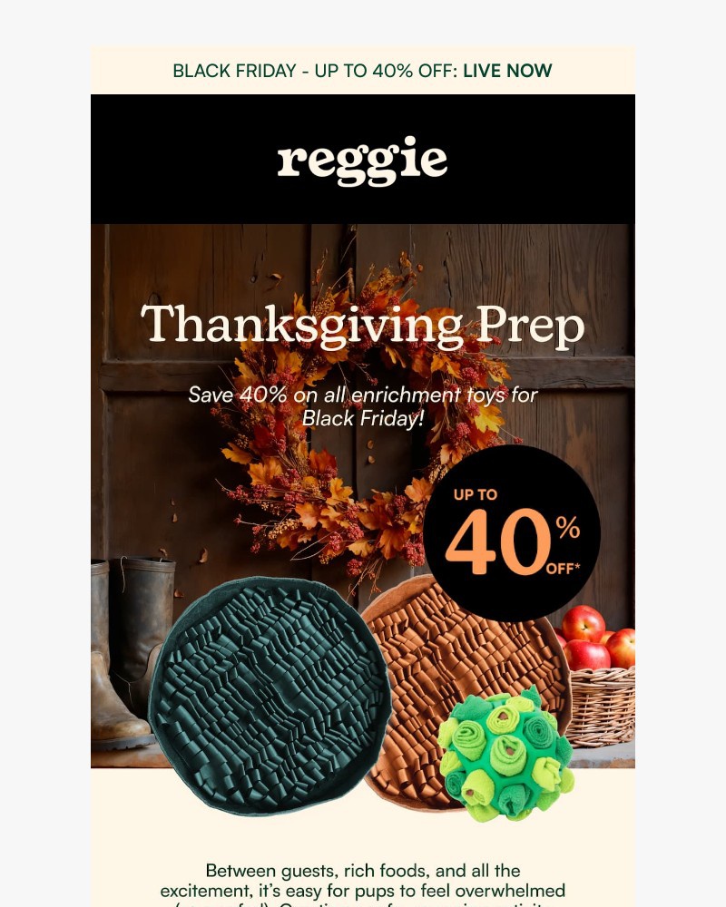 Screenshot of email with subject /media/emails/the-perfect-thanksgiving-recipe-calm-dog-40-off-aa144e-cropped-a69817d7.jpg