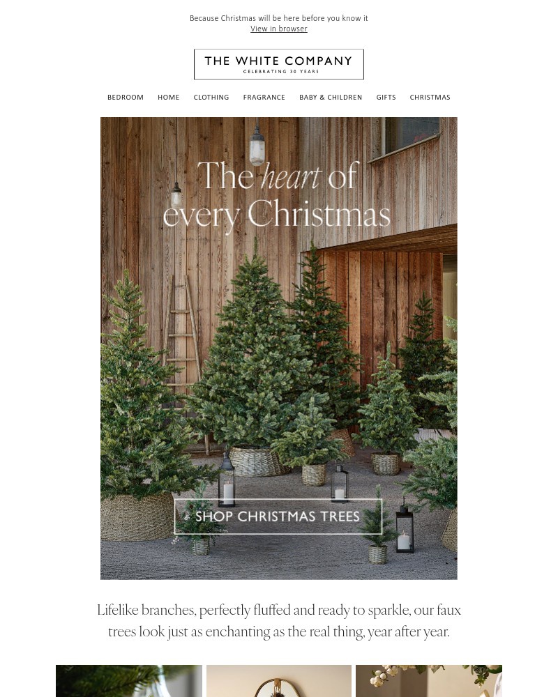 Screenshot of email with subject /media/emails/the-perfect-tree-ready-before-the-rush-666dfd-cropped-9a7f5d27.jpg