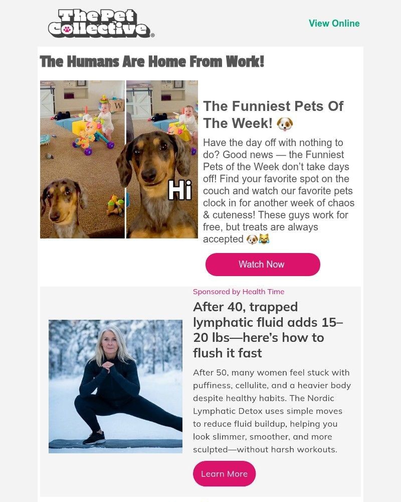 Screenshot of email with subject /media/emails/the-perfect-way-to-celebrate-memorial-day-9d6a5d-cropped-ee73792e.jpg