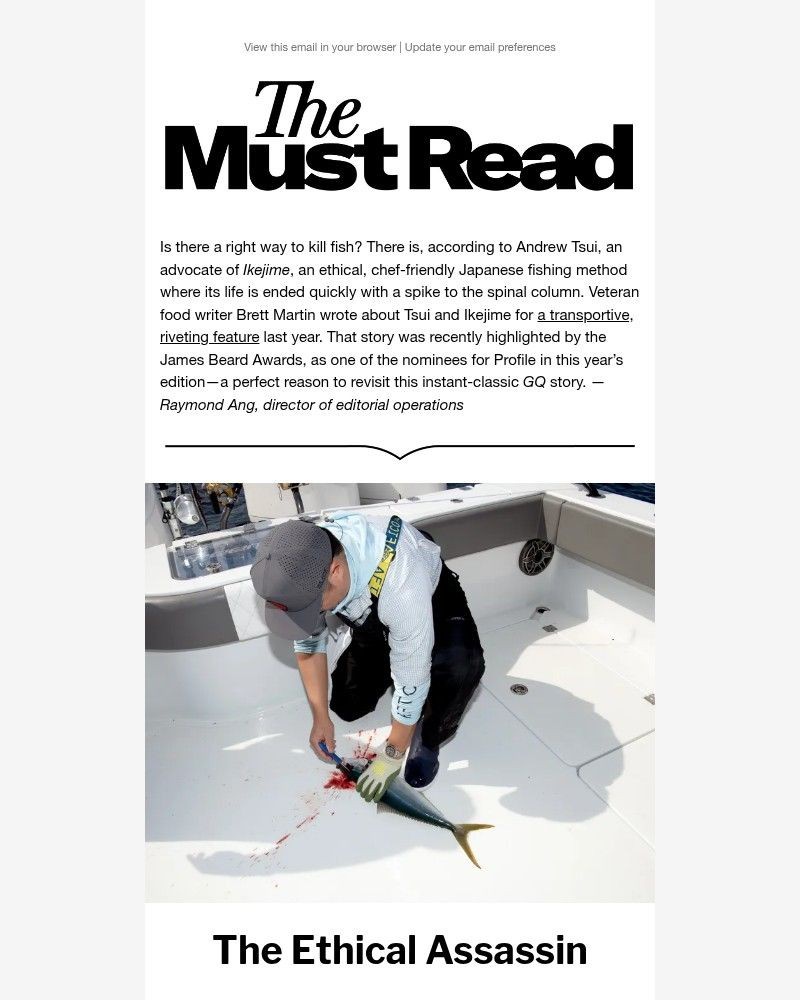 Screenshot of email with subject /media/emails/the-perfect-way-to-kill-a-fish-2b6bf2-cropped-7a31c289.jpg