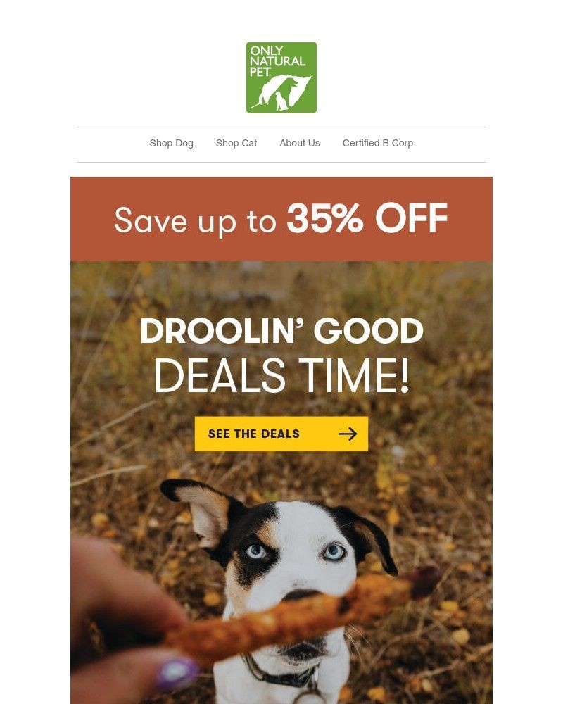Screenshot of email with subject /media/emails/the-pets-great-the-deals-droolin-good-941885-cropped-4b56b8a3.jpg