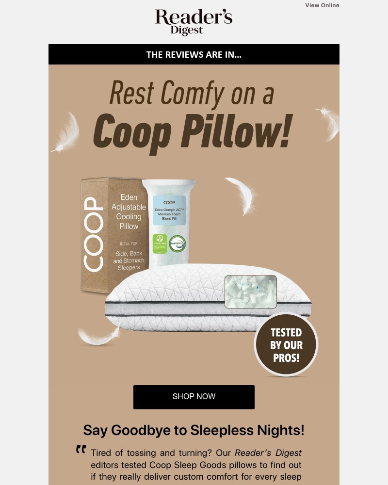 Screenshot of email with subject /media/emails/the-pillow-of-your-dreams-we-put-it-to-the-test-d276f0-cropped-a36206e1.jpg