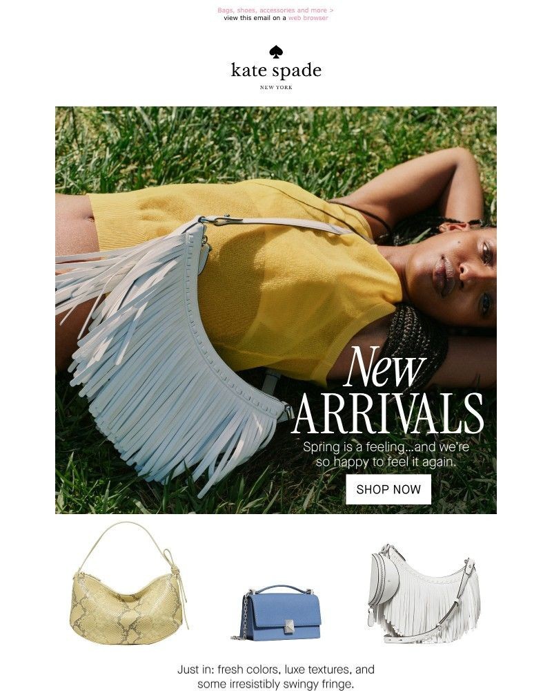 Screenshot of email with subject /media/emails/the-pre-spring-arrivals-of-our-dreams-f30e53-cropped-522ac899.jpg