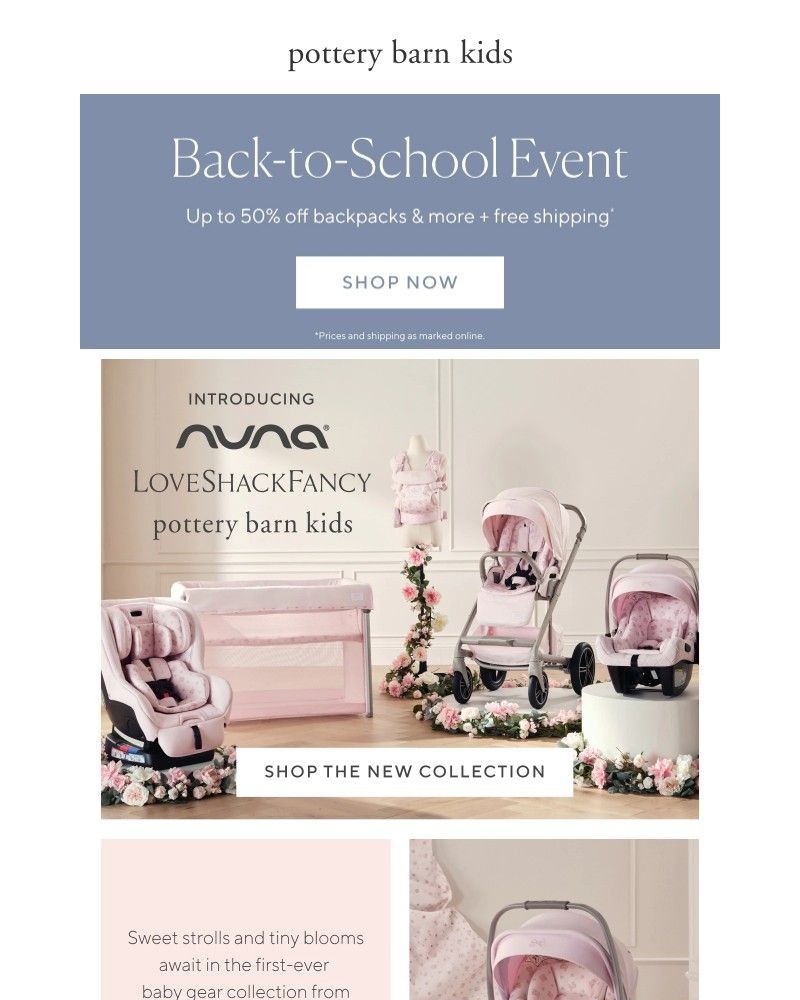 Screenshot of email with subject /media/emails/the-prettiest-loveshackfancy-x-nuna-baby-gear-4b4e05-cropped-0a8bfaba.jpg