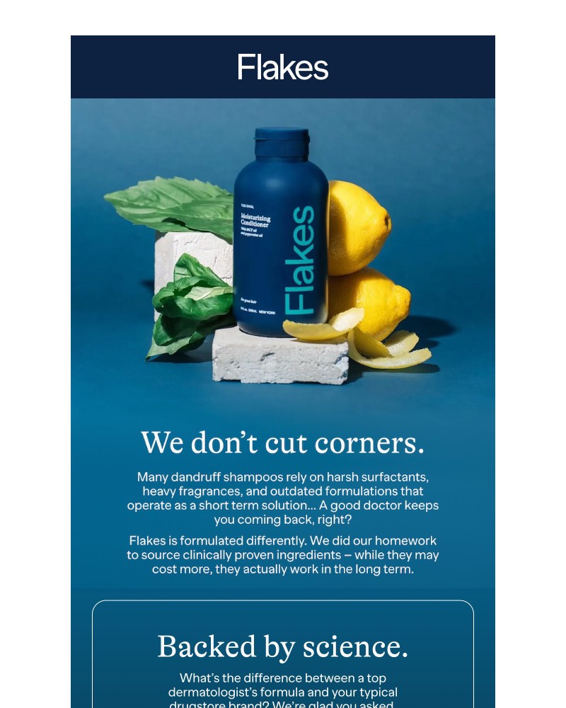 Screenshot of email sent to a Flakes Newsletter subscriber