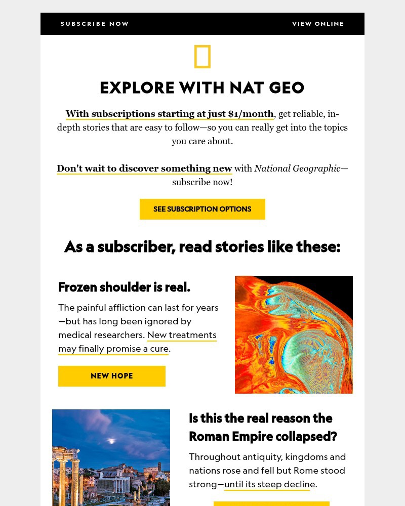 Screenshot of email with subject /media/emails/the-reality-of-frozen-shoulder-romes-demise-and-the-arks-whereabouts-unlock-it-al_gsD29pt.jpg