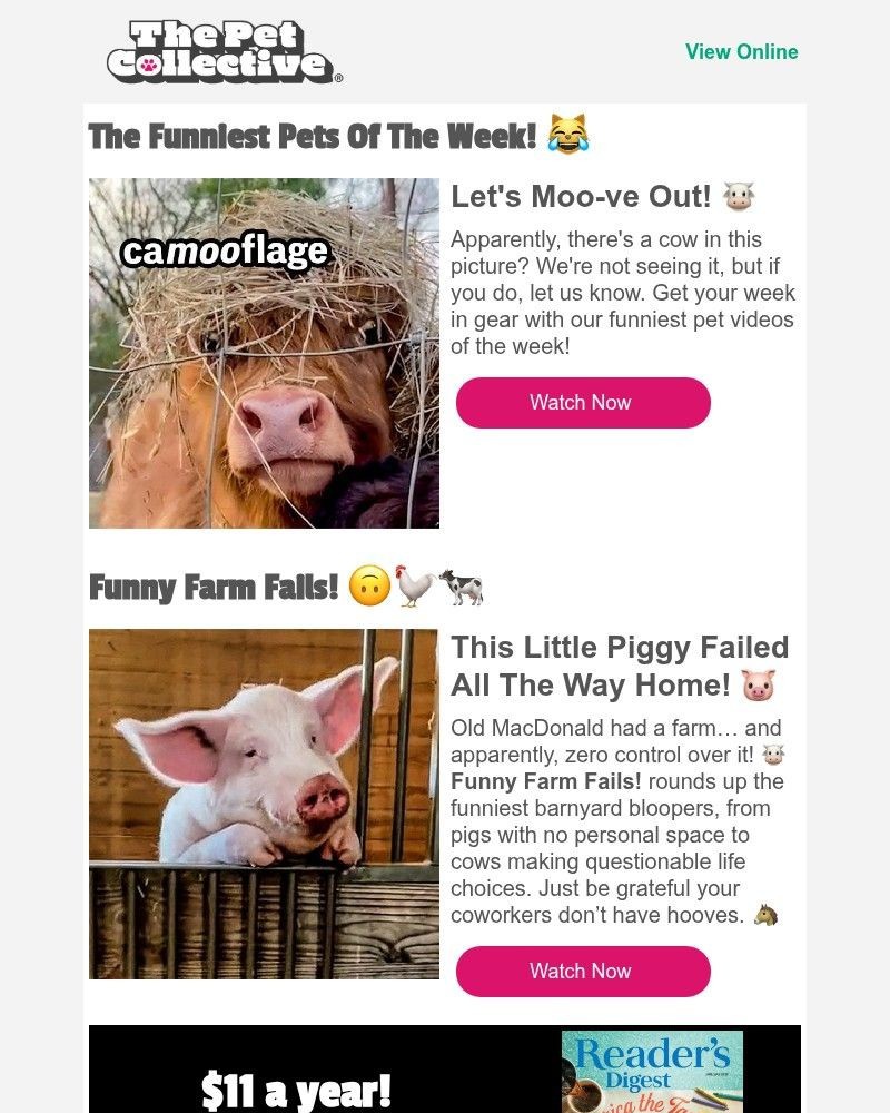 Screenshot of email with subject /media/emails/the-results-are-in-here-are-your-funniest-pets-of-the-week-004ce3-cropped-07711ae9.jpg