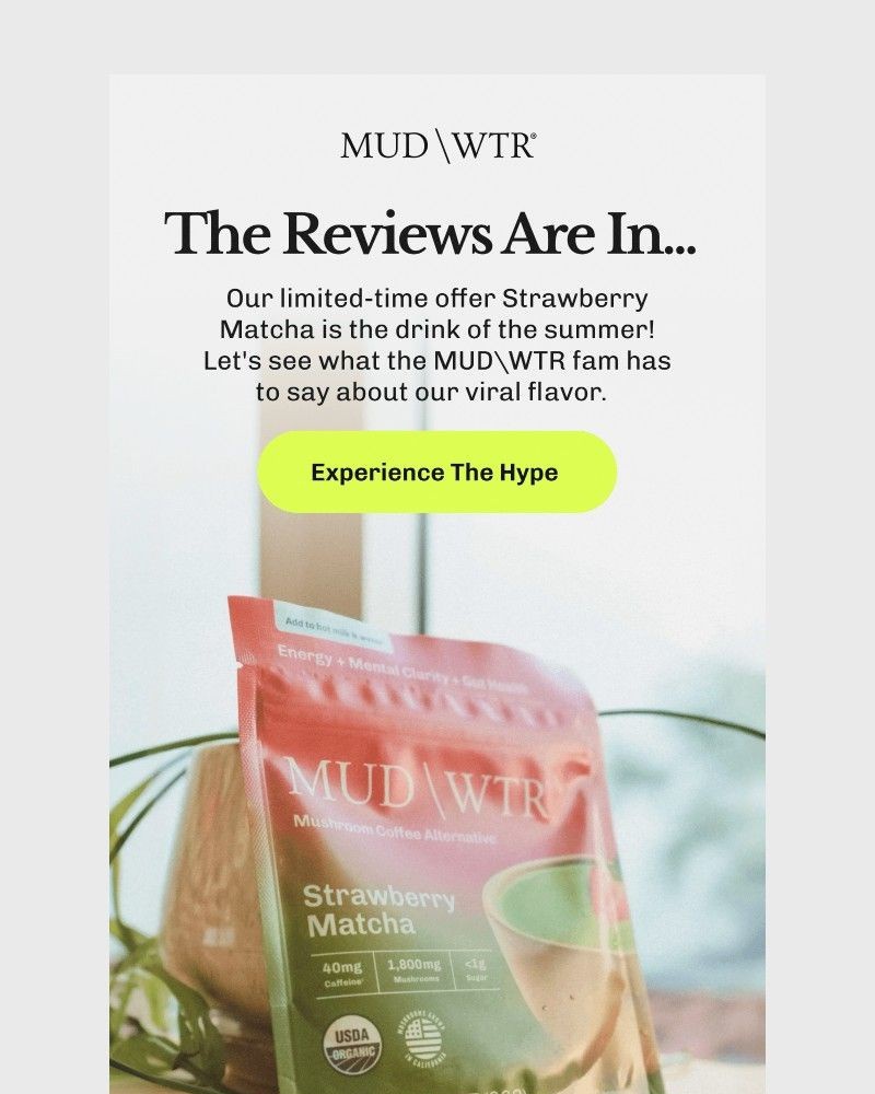 Screenshot of email sent to a MUD/WTR Newsletter subscriber