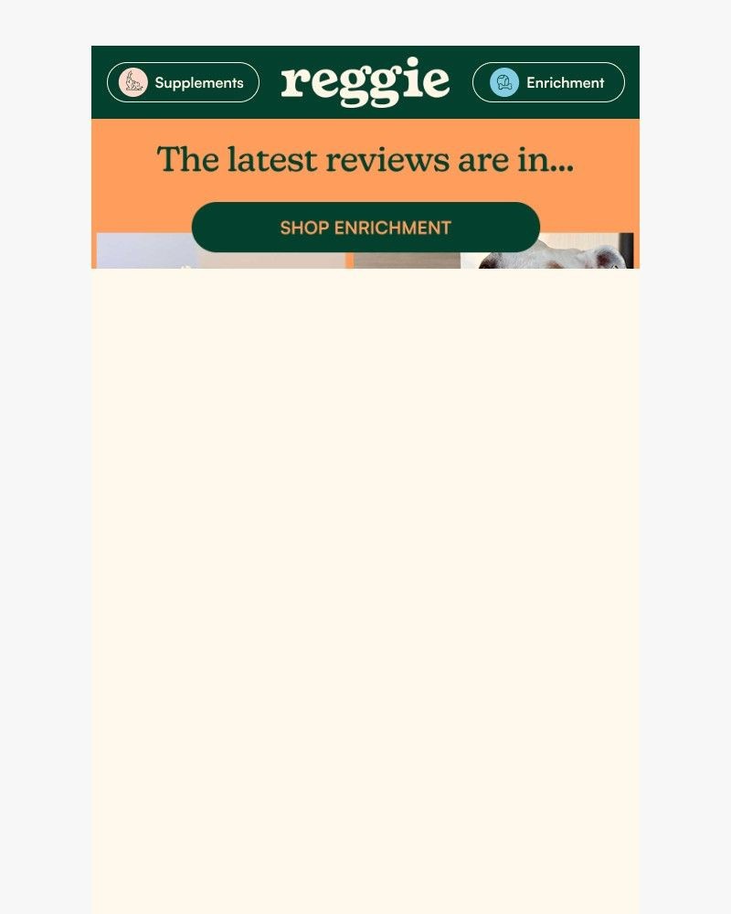 Screenshot of email with subject /media/emails/the-reviews-just-dropped-b26a7b-cropped-bb10cafe.jpg