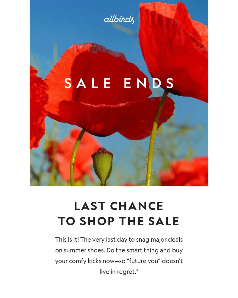 Screenshot of email with subject /media/emails/the-sale-ends-tonight-020910-cropped-8ec7e69d.jpg