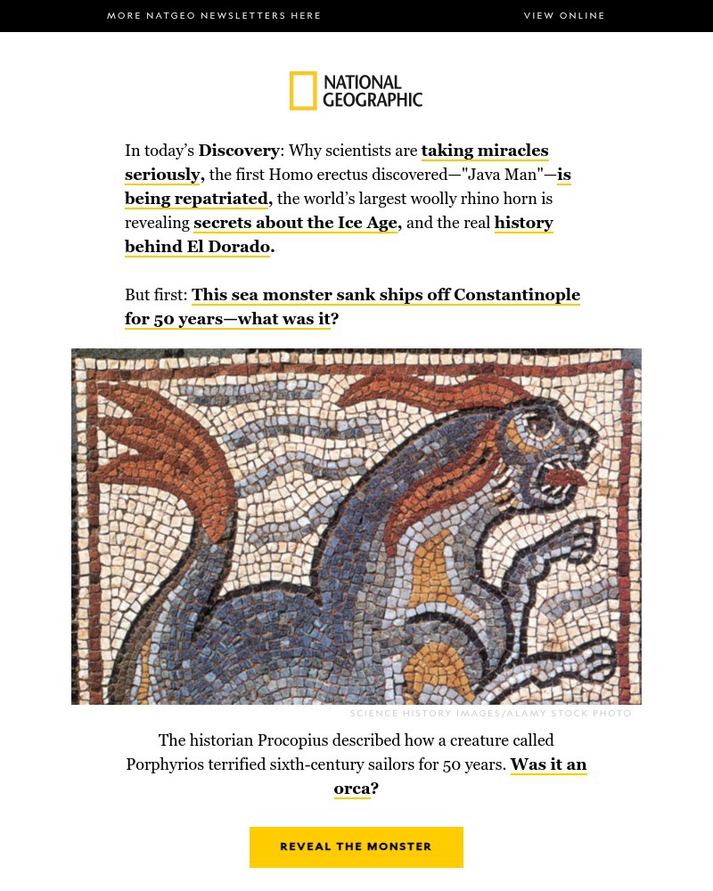 Screenshot of email with subject /media/emails/the-sea-monster-sinking-ships-for-50-years-the-real-story-behind-el-dorado-a-rhin_P018QUg.jpg