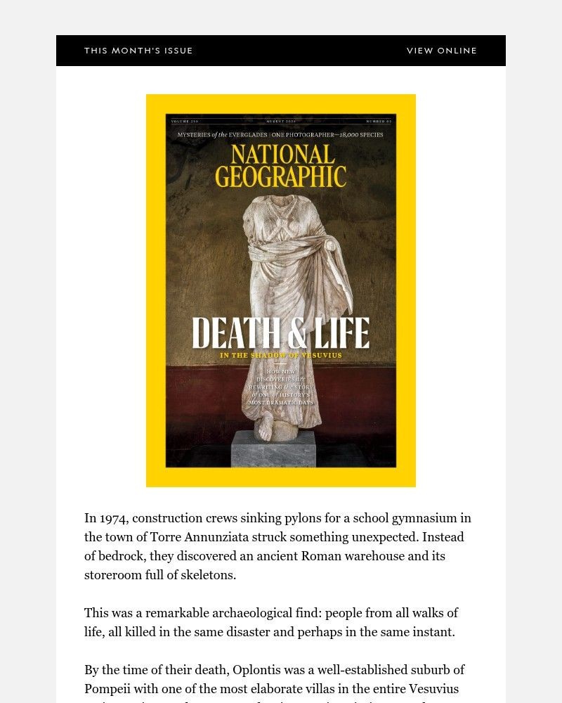 Screenshot of email sent to a National Geographic Newsletter subscriber