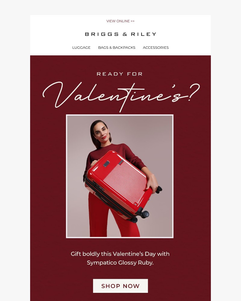 Screenshot of email sent to a Briggs & Riley Newsletter subscriber