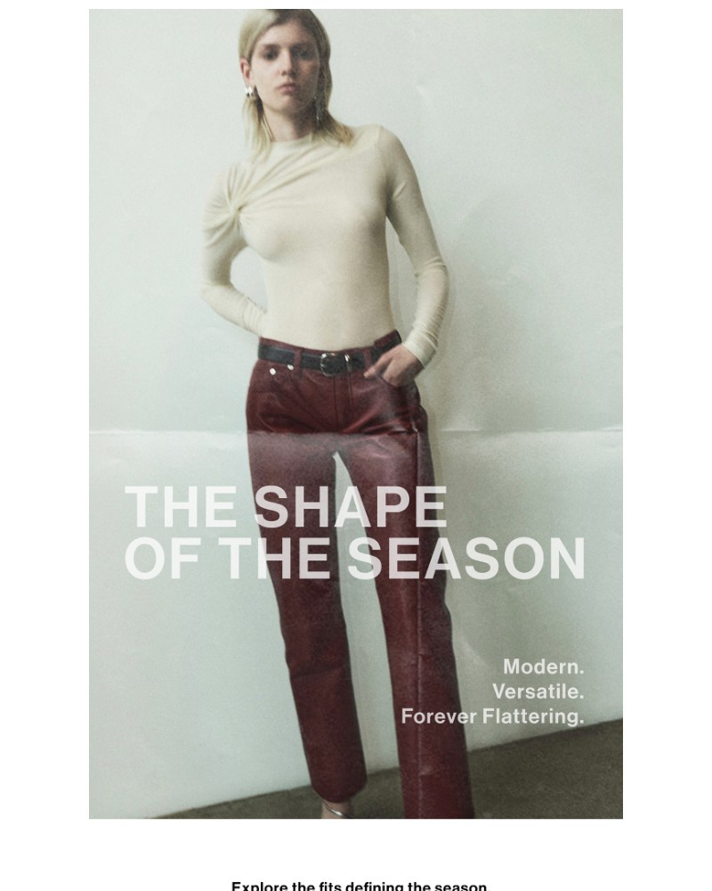 Screenshot of email sent to a Agolde Newsletter subscriber