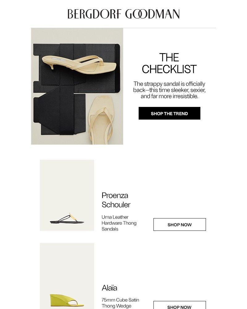 Screenshot of email with subject /media/emails/the-shoe-checklist-thong-sandals-11af64-cropped-d710322f.jpg