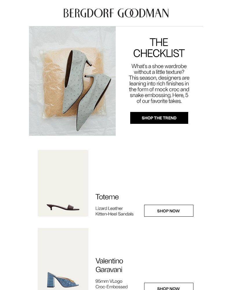 Screenshot of email with subject /media/emails/the-shoe-edit-skin-is-in-83ebb5-cropped-fe6c73d6.jpg