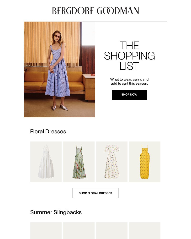 Screenshot of email with subject /media/emails/the-shopping-list-a1da75-cropped-80217d5d.jpg