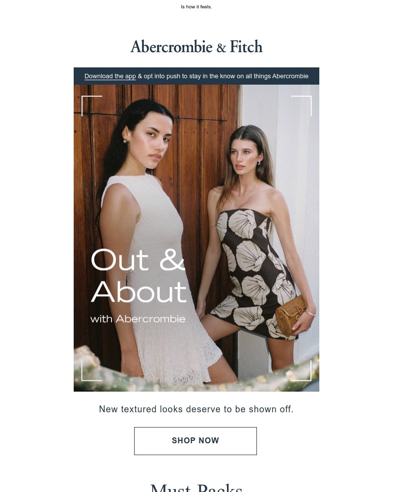 Screenshot of email with subject /media/emails/the-sign-of-a-great-outfit-d2ec43-cropped-fe808890.jpg