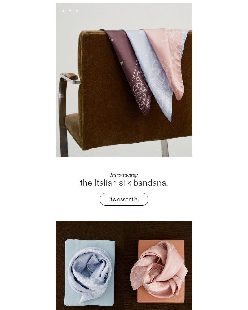 Screenshot of email with subject /media/emails/the-silk-accessory-that-elevates-everything-5a8d58-cropped-dcb705e5.jpg